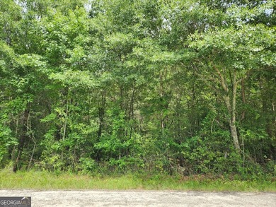 Beautiful 4.11-acre wooded homesite in desirable Walton County - photo 3