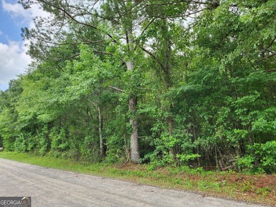 Beautiful 4.11-acre wooded homesite in desirable Walton County - photo 4