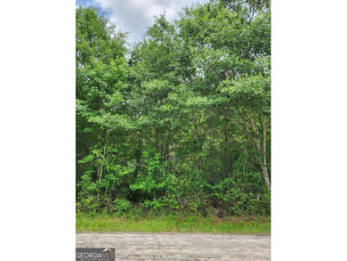 Beautiful 4.11-acre wooded homesite in desirable Walton County - photo 5