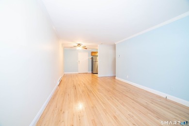 Move right into this beautifully updated one-bedroom condominium - photo 9