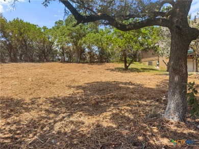 Canyon Lake Lot For Sale in Spring Branch Texas