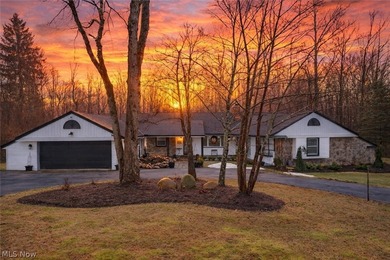 (private lake, pond, creek) Home Active Under Contract in Chesterland Ohio