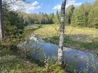 Lake Lot For Sale in Alger, Michigan