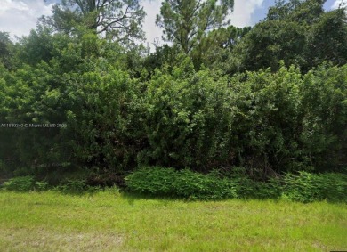 Port Charlotte Waterway Lakes Area Lot For Sale in Port Charlotte Florida