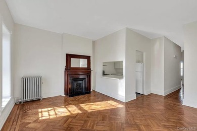 309 W 138th Street Welcome to 309 West 138th Street - a historic - photo 13