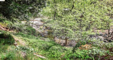ON SULLIVAN CREEK! Nestled in the desirable Phoenix Lake Country - photo 33