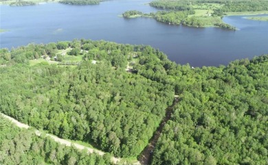 Diamond Lake - Aitkin County Lot Sale Pending in Nordland Twp Minnesota