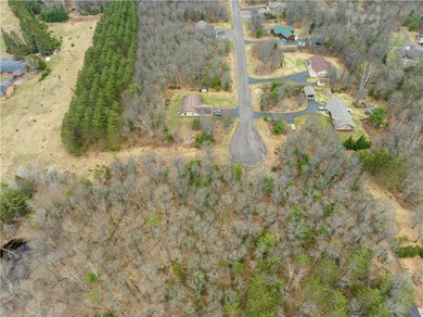 1.56 Acre Residential Lot in the Town of Solon Springs. New - photo 3