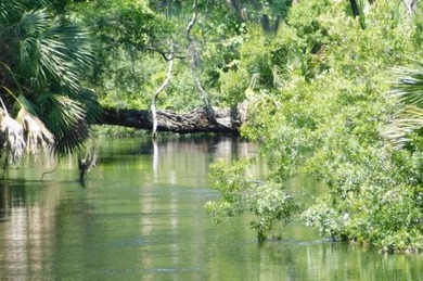 (private lake, pond, creek) Home For Sale in Greenville Florida