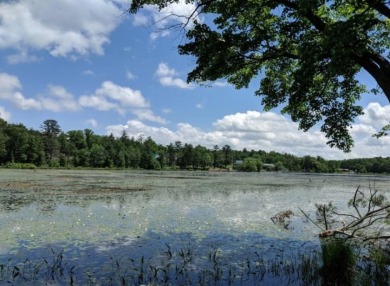 Beautiful Lakefront Parcel - Lake Lot For Sale in Glen Spey, New York