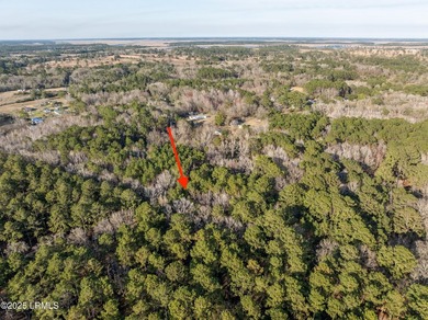 If you are looking for a large private seclude acreage, I have - photo 4