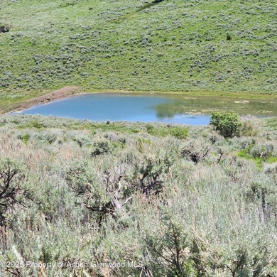 (private lake, pond, creek) Acreage For Sale in Gateway Colorado