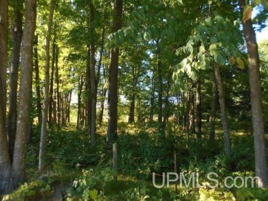 Lake Acreage For Sale in Crystal Falls, Michigan