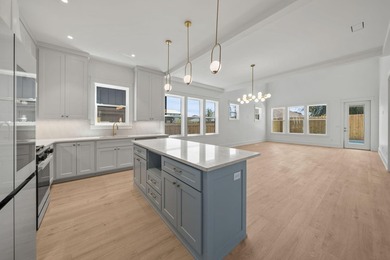 Luxury 2025 new construction near the Gulf with private pool - photo 11