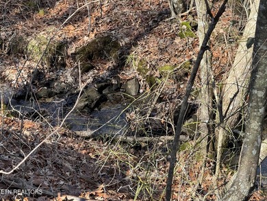This is approx. 1 acre property located on Crystal Pt cut-de-sac - photo 3