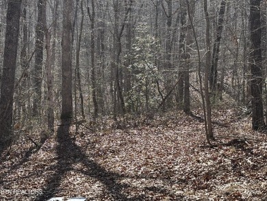 This is approx. 1 acre property located on Crystal Pt cut-de-sac - photo 4