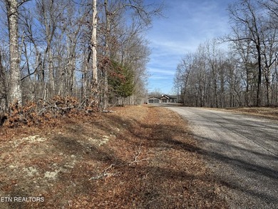 This is approx. 1 acre property located on Crystal Pt cut-de-sac - photo 5