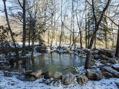 (private lake, pond, creek) Acreage For Sale in Elizabethton Tennessee