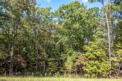 Build Your Dream in Creekrise! This is a rare opportunity for - photo 11