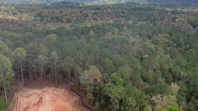 Build Your Dream in Creekrise! This is a rare opportunity for - photo 13