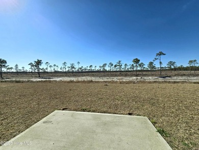 If you are looking for a great house near the beach and downtown - photo 22