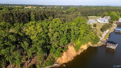 The views from this lot are unmatched on Weiss Lake. It is at - photo 3