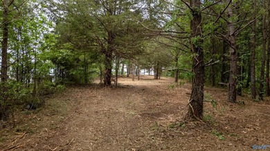 The views from this lot are unmatched on Weiss Lake. It is at - photo 5