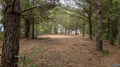 The views from this lot are unmatched on Weiss Lake. It is at - photo 6