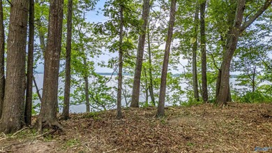 The views from this lot are unmatched on Weiss Lake. It is at - photo 7
