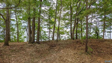 The views from this lot are unmatched on Weiss Lake. It is at - photo 8
