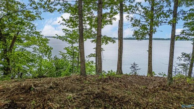 The views from this lot are unmatched on Weiss Lake. It is at - photo 10