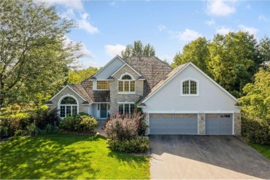 Lake Home For Sale in Franklin Twp, Minnesota