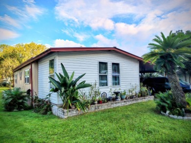 Bystre Lake Home For Sale in Brooksville Florida