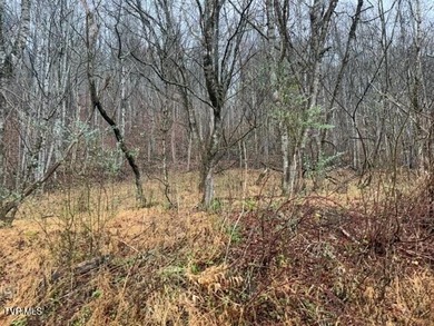 Lake Acreage For Sale in Abingdon, Virginia