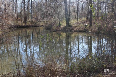 (private lake, pond, coastal) Lot For Sale in Lowndesboro Alabama