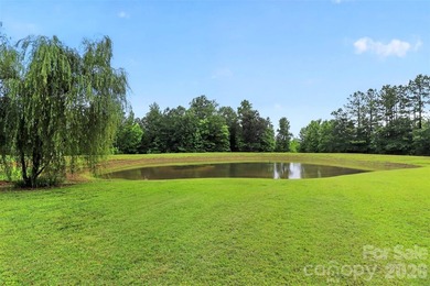 Stunning all brick home with 23 acres and small pond . A - photo 27