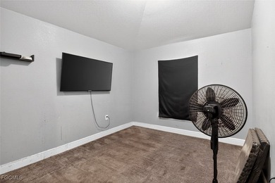 Welcome to your dream home in beautiful Cape Coral! This - photo 43