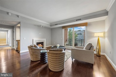 Experience elevated waterfront living at The Ritz-Carlton - photo 5