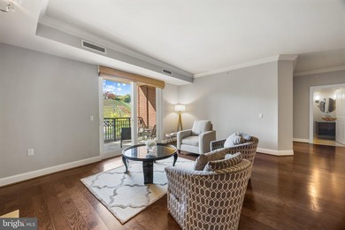 Experience elevated waterfront living at The Ritz-Carlton - photo 6
