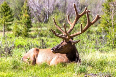 Welcome to your dream home in the heart of Estes Park! This - photo 17