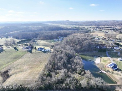 Holston River - Hawkins County Acreage For Sale in Surgoinsville Tennessee