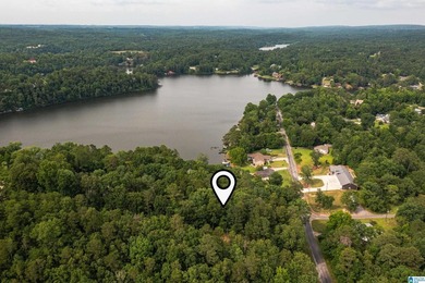 Located in the Highland Lake community in Oneonta, this 1.7 +/- - photo 6