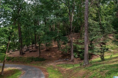 Located in the Highland Lake community in Oneonta, this 1.7 +/- - photo 9