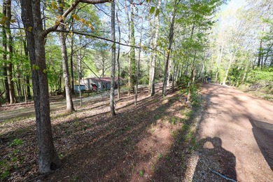 Tract #1 - 3 Bedroom Manufactured Home on Waterfront Lot - photo 9