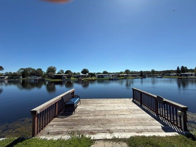 Discover the perfect blend of comfort, style, and Florida - photo 3