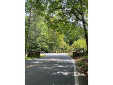 Lake Lot For Sale in Ellijay, Georgia