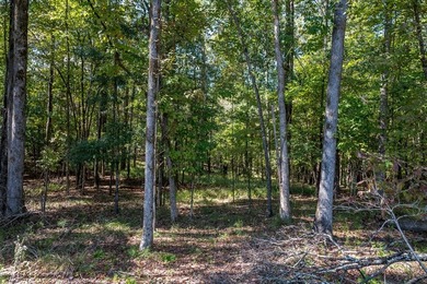 Build Your Dream in Creekrise! This is a rare opportunity for - photo 11