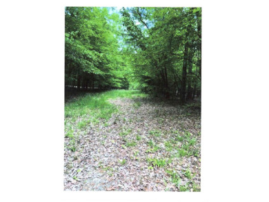 17.837 acres of vacant land - photo 3
