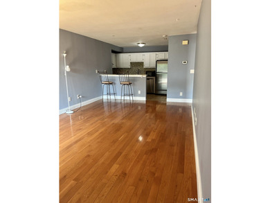 End unit 1 bedroom apartment, kitchen, living and dinning area - photo 2