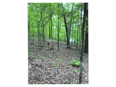 17.837 acres of vacant land - photo 6